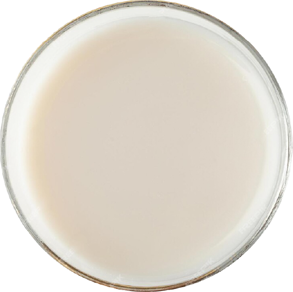 coconut-milk.png