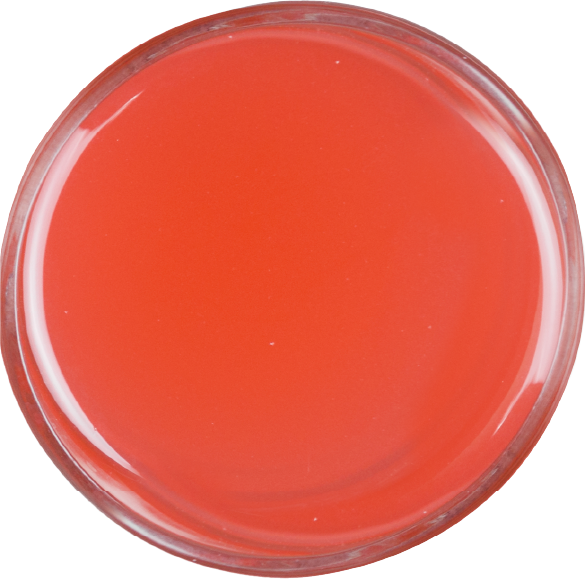 honey-pomelo.png