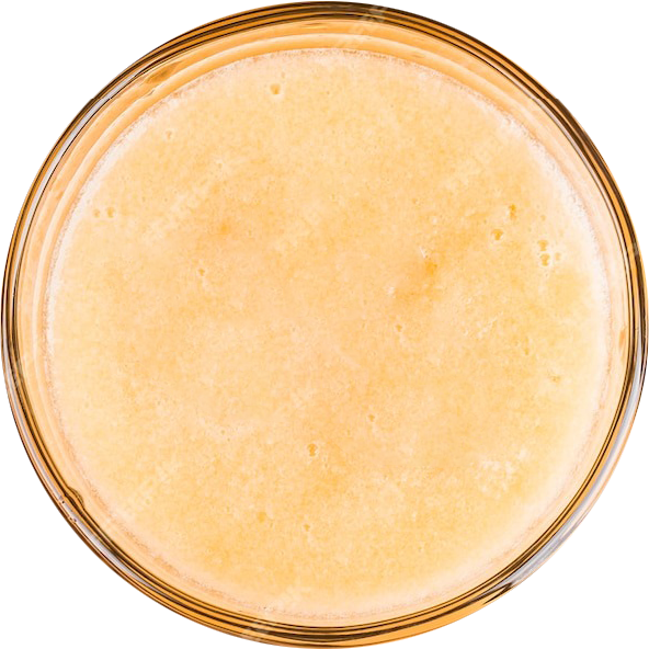 honeydew-melon.png