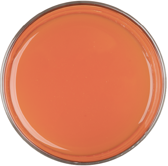 persimmon.png