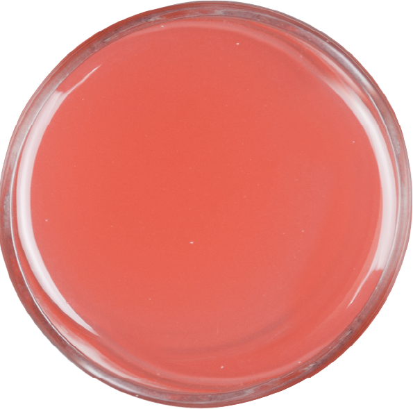 pink-grapefruit.png