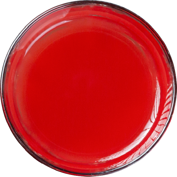 red-grape.png