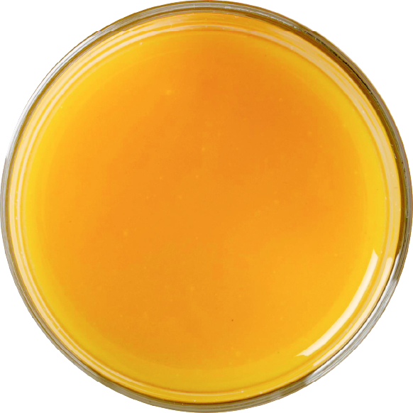 tangerine.png