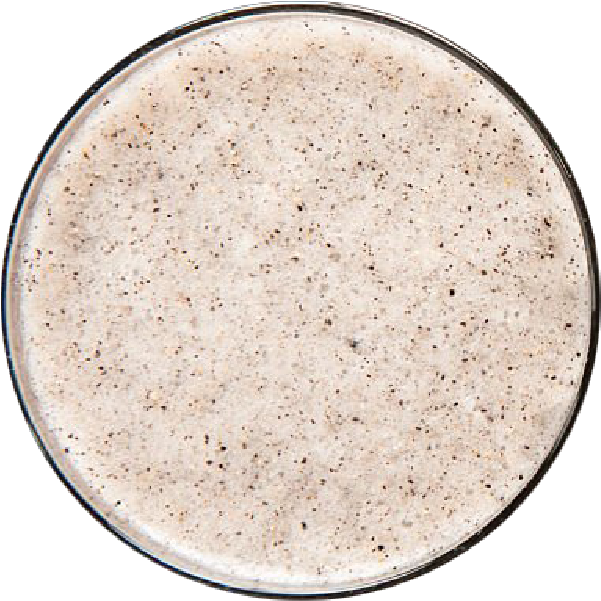 white-dragon-fruit-with-seeds.png