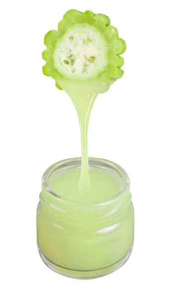 bitter-melon.png