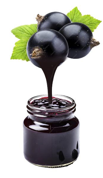 blackcurrant.png
