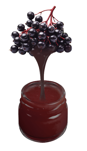 elderberry.png