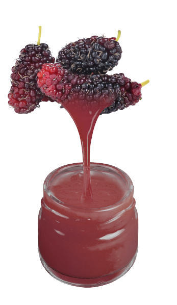 mulberry.png