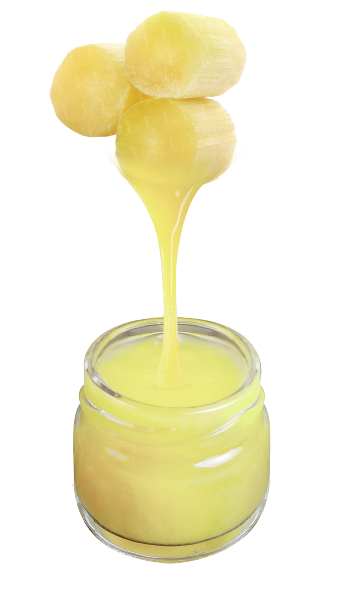sugarcane.png
