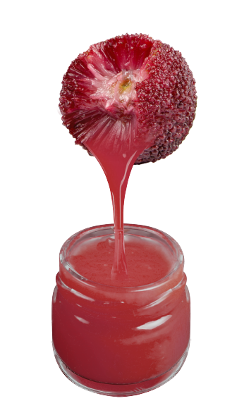 waxberry.png